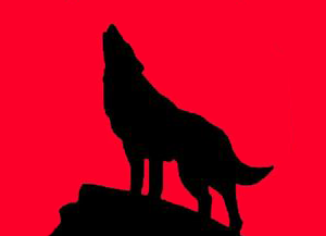 Natural Science Club logo