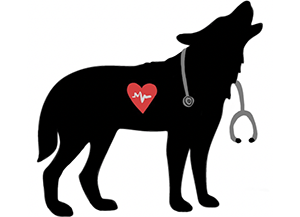 Pre-Med Club of Western Oregon University